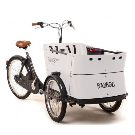 Lastenrad Babboe Big-E / Das robuste elektrische Lastenfahrrad mit drei  Rädern - ebike-power