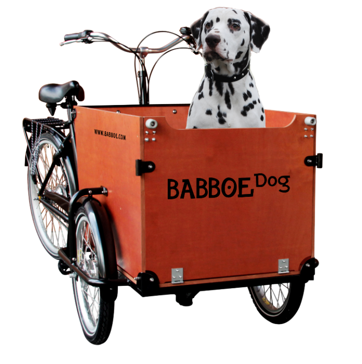 Lastenrad Babboe Dog Elektrisch - Bakfiets braun - Lastenrad für Hunde  Produkt besteht aus Varianten Produkt besitzt: Bilder Noch keine vorhanden:  Kostenlose Downloaddateien - ebike-power